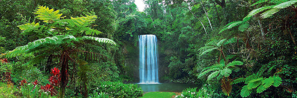 Millaa Millaa Falls, Australia   von John Xiong