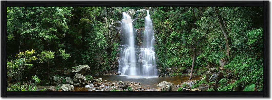 Minnamurra Rainforest            von Dee Kramer