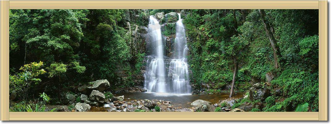 Minnamurra Rainforest            von Dee Kramer