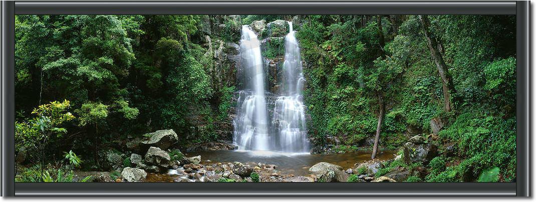 Minnamurra Rainforest            von Dee Kramer