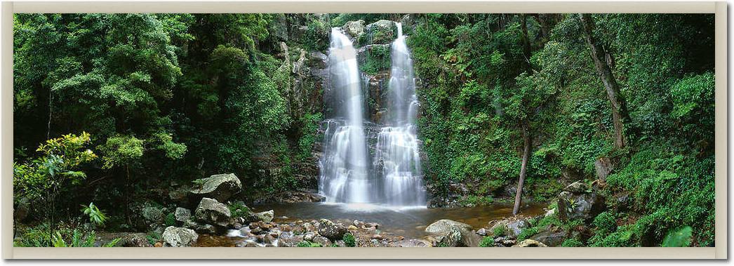 Minnamurra Rainforest            von Dee Kramer