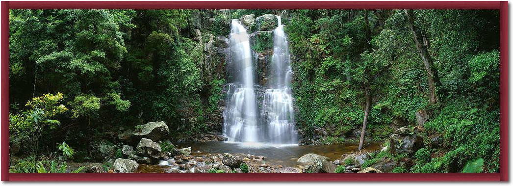 Minnamurra Rainforest            von Dee Kramer