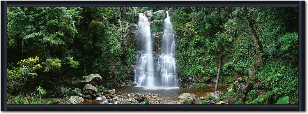 Minnamurra Rainforest            von Dee Kramer