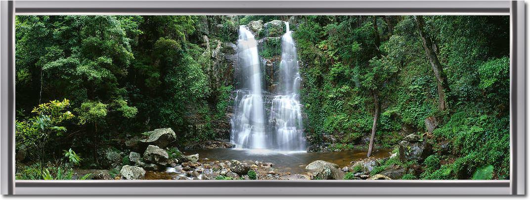 Minnamurra Rainforest            von Dee Kramer