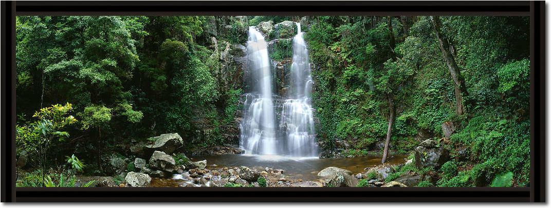 Minnamurra Rainforest            von Dee Kramer