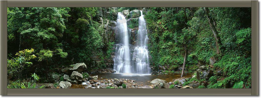 Minnamurra Rainforest            von Dee Kramer