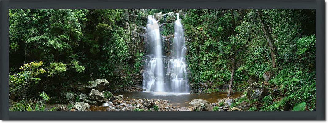 Minnamurra Rainforest            von Dee Kramer