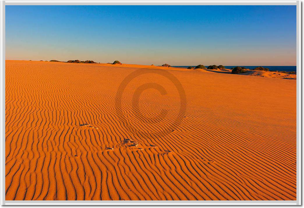 Myall Lakes Dunes                von John Xiong