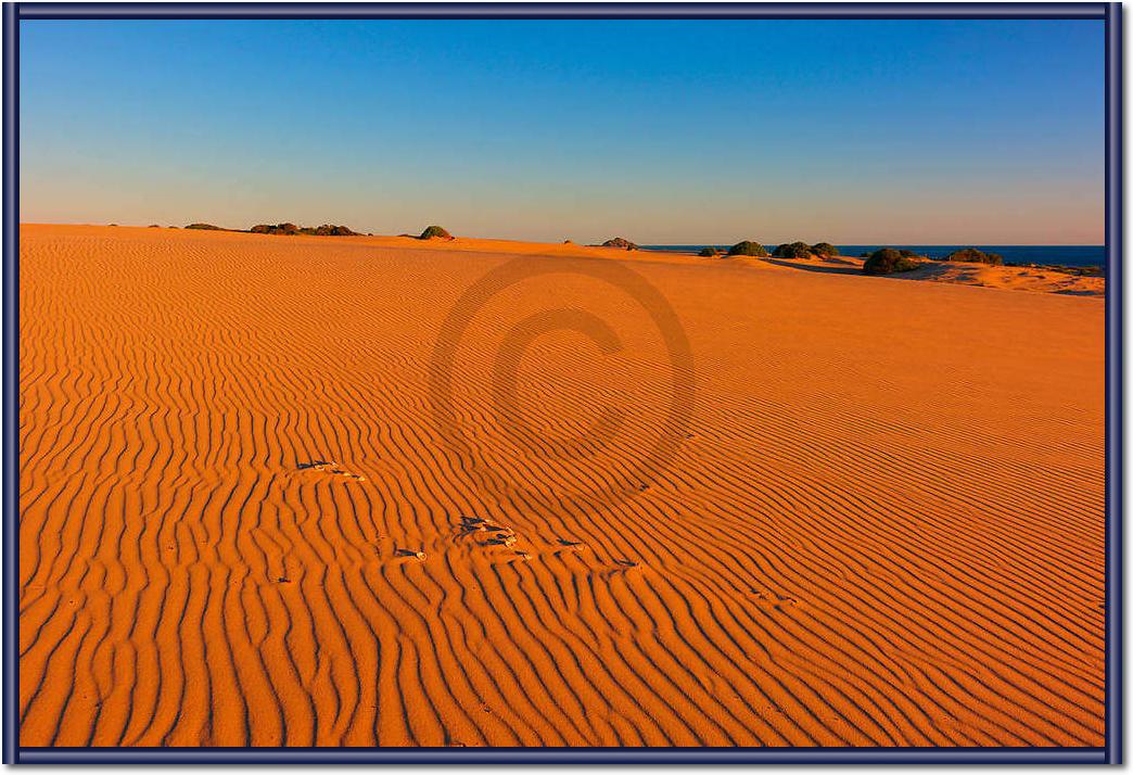 Myall Lakes Dunes                von John Xiong