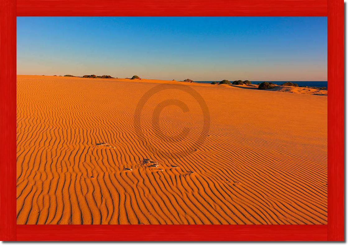 Myall Lakes Dunes                von John Xiong