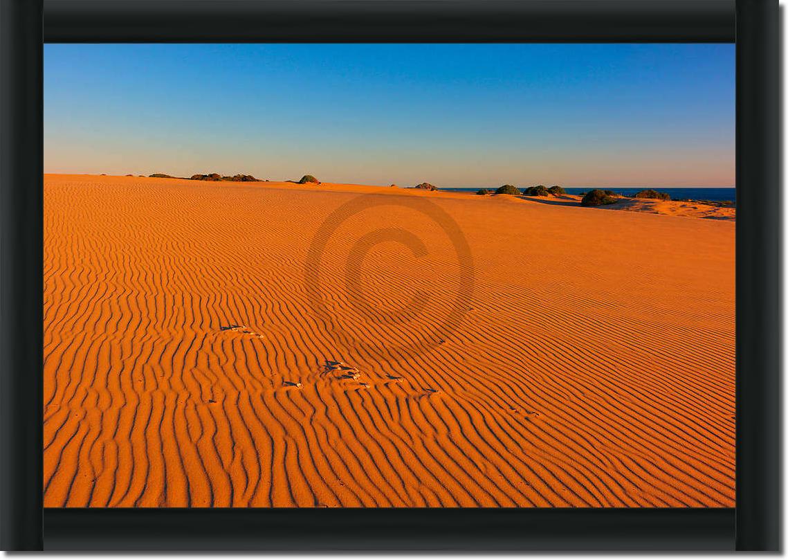 Myall Lakes Dunes                von John Xiong