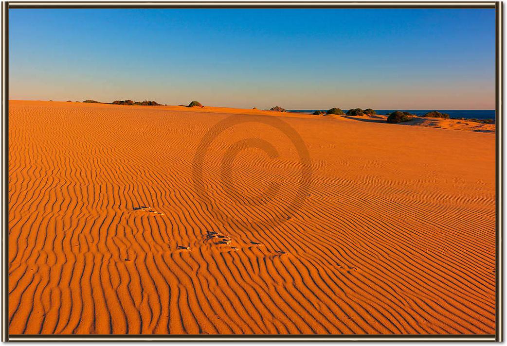 Myall Lakes Dunes                von John Xiong