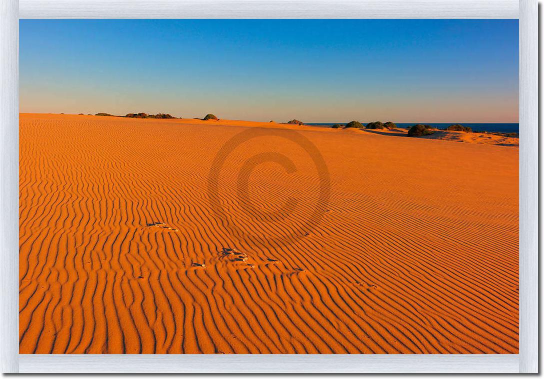 Myall Lakes Dunes                von John Xiong