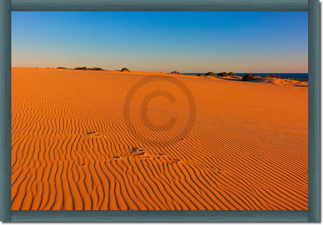 Myall Lakes Dunes                von John Xiong