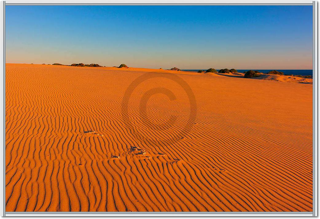 Myall Lakes Dunes                von John Xiong