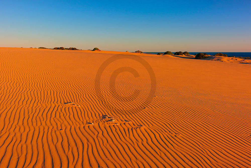 Myall Lakes Dunes                von John Xiong