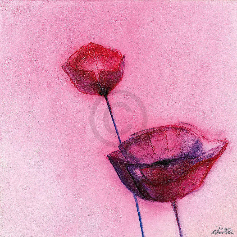 Poppy Sweet II                   von Erika Heinemann
