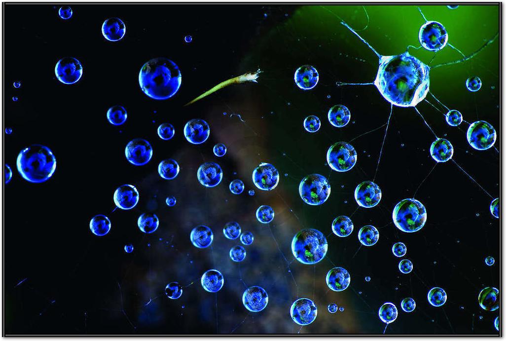 Spinnennetz mit Tropfen          von Tomas Nemec