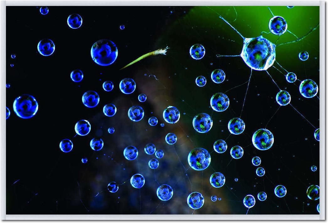 Spinnennetz mit Tropfen          von Tomas Nemec
