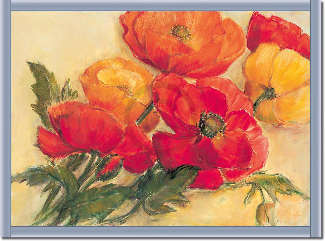 Splendid Poppies                 von Elisabeth Krobs