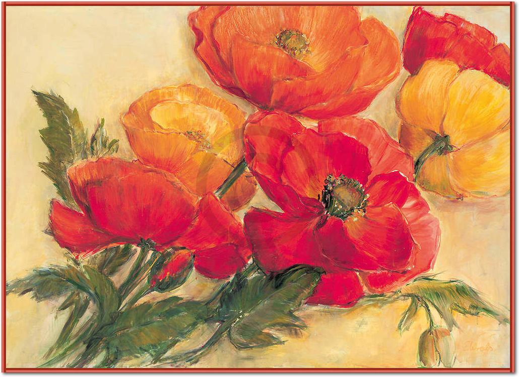 Splendid Poppies                 von Elisabeth Krobs