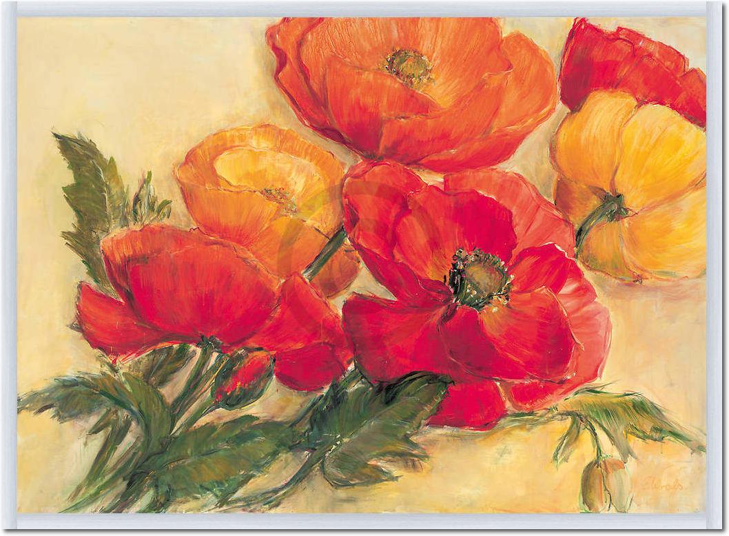 Splendid Poppies                 von Elisabeth Krobs
