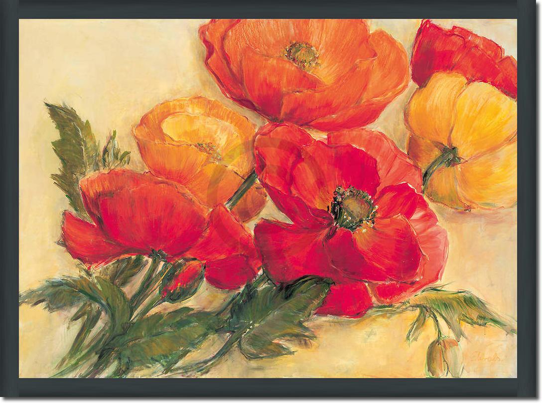 Splendid Poppies                 von Elisabeth Krobs