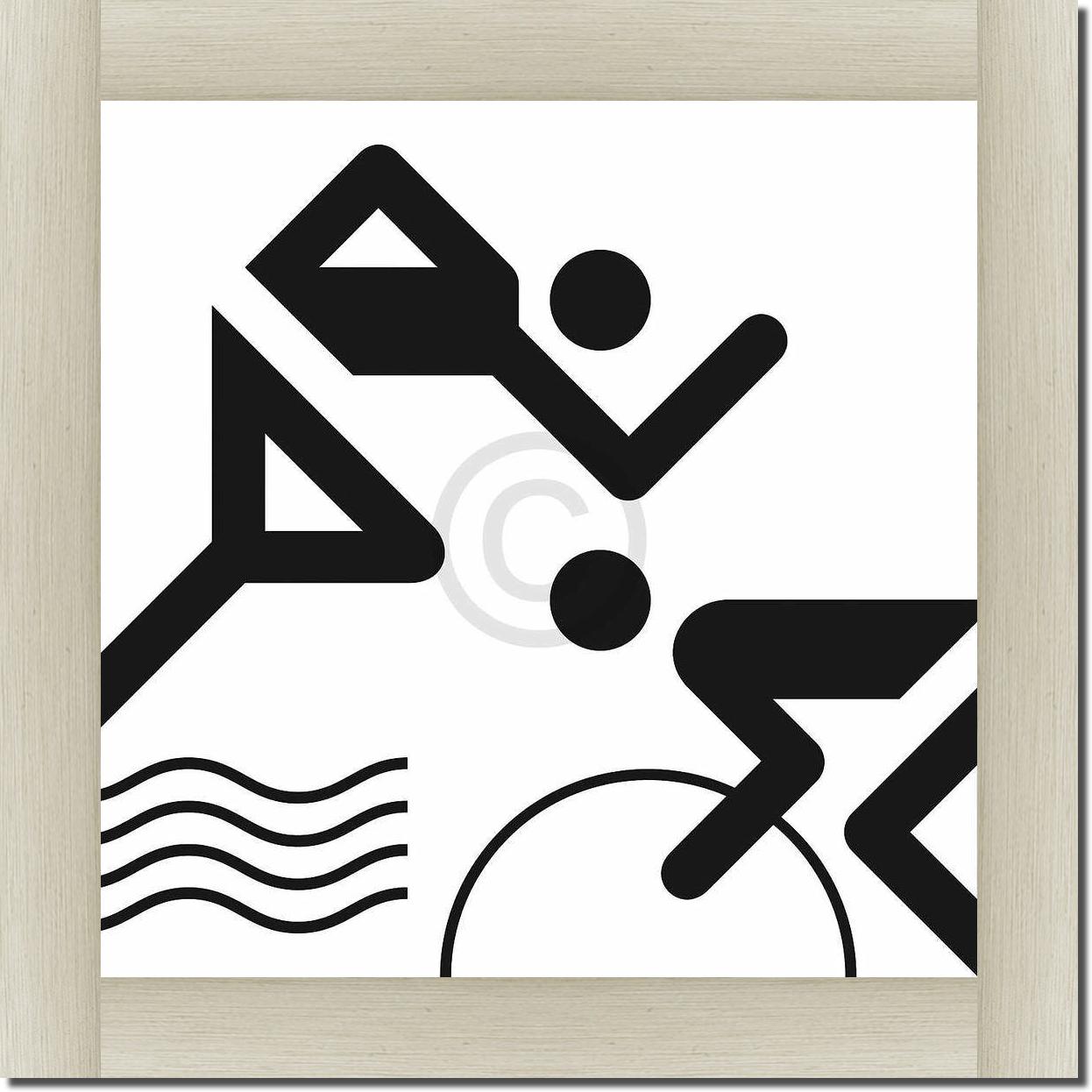 Triathlon                        von Otl Aicher