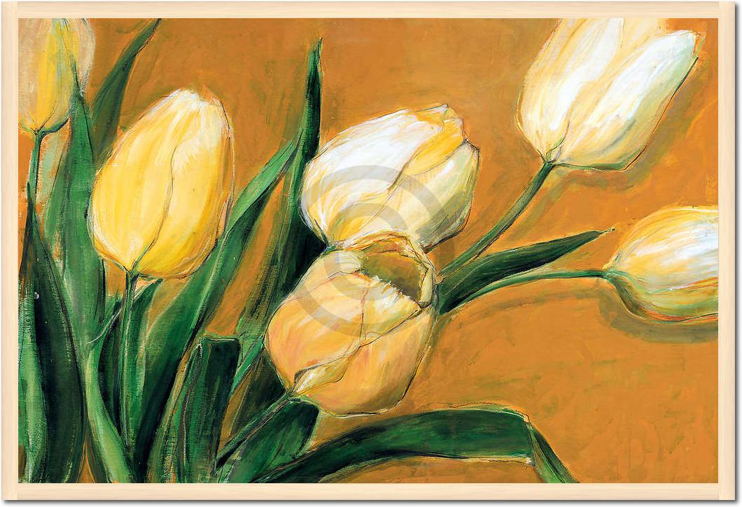 Tulipa Nova                      von Elisabeth Krobs