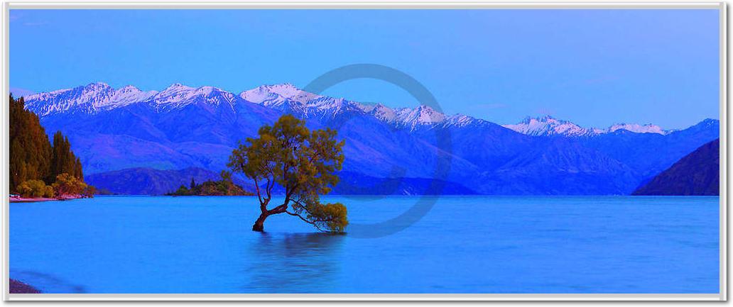 Wanaka                           von John Xiong