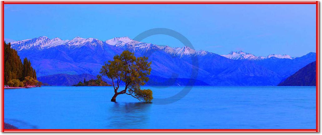 Wanaka                           von John Xiong