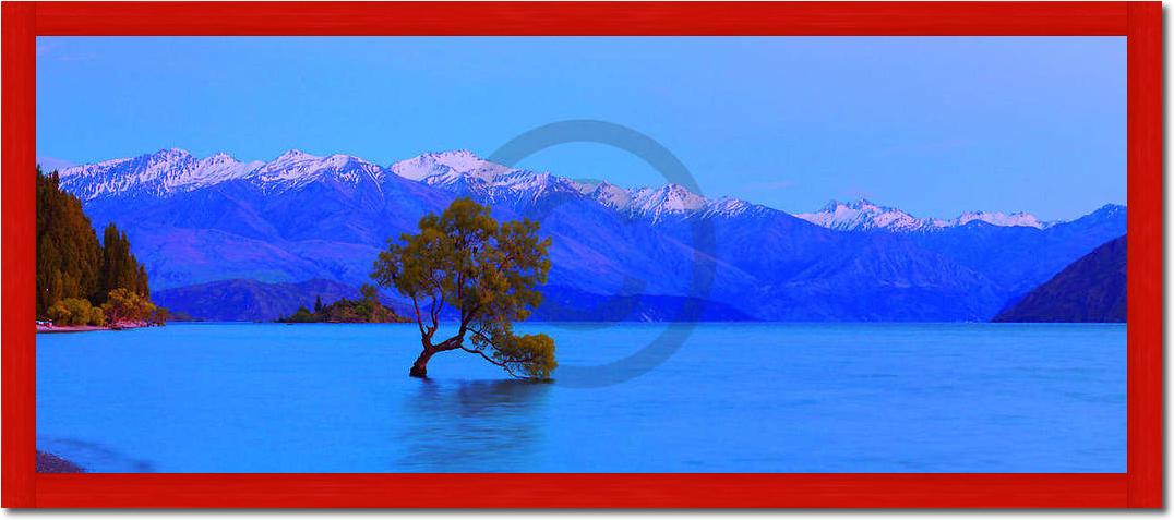 Wanaka                           von John Xiong