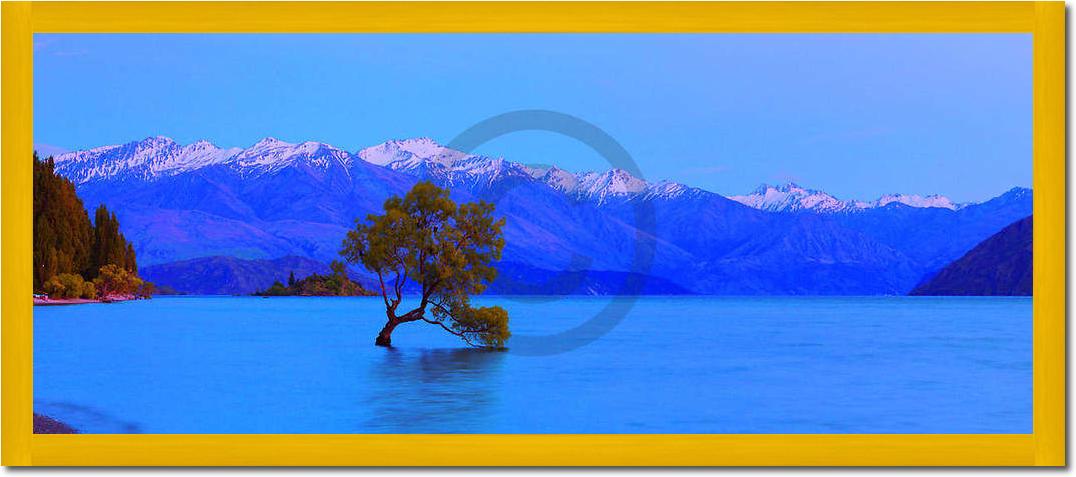 Wanaka                           von John Xiong