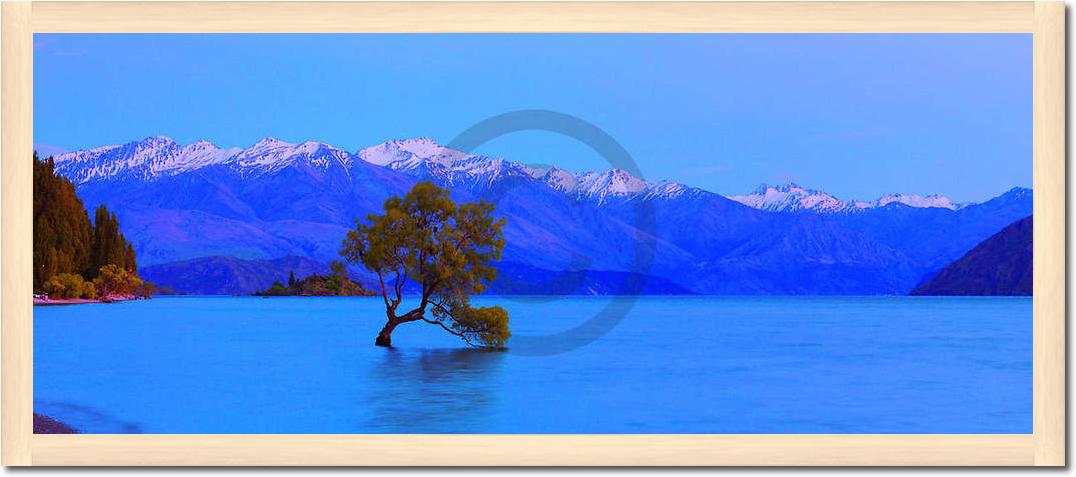 Wanaka                           von John Xiong