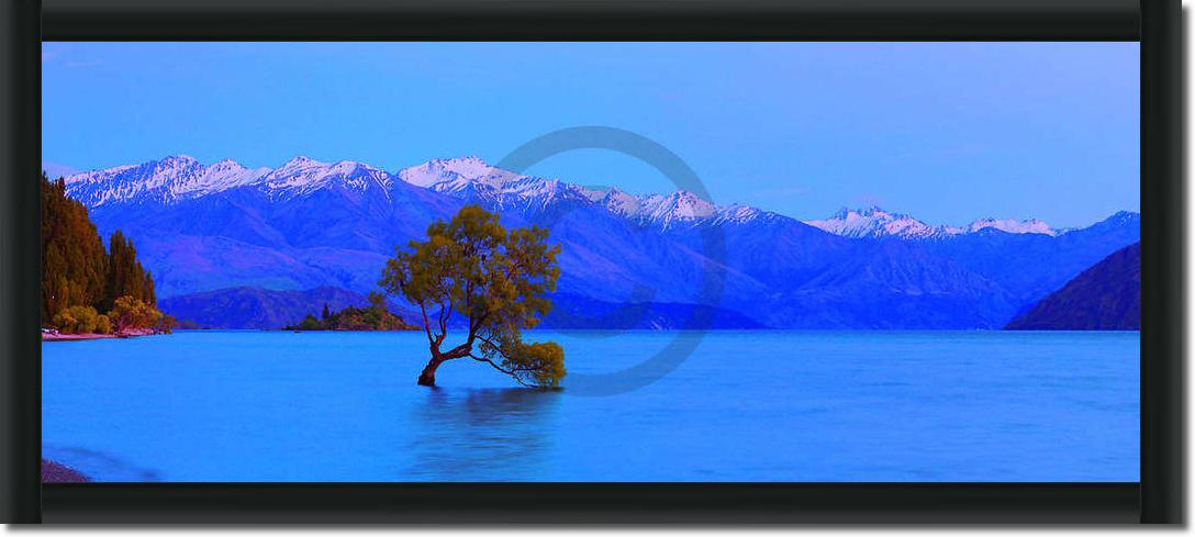 Wanaka                           von John Xiong