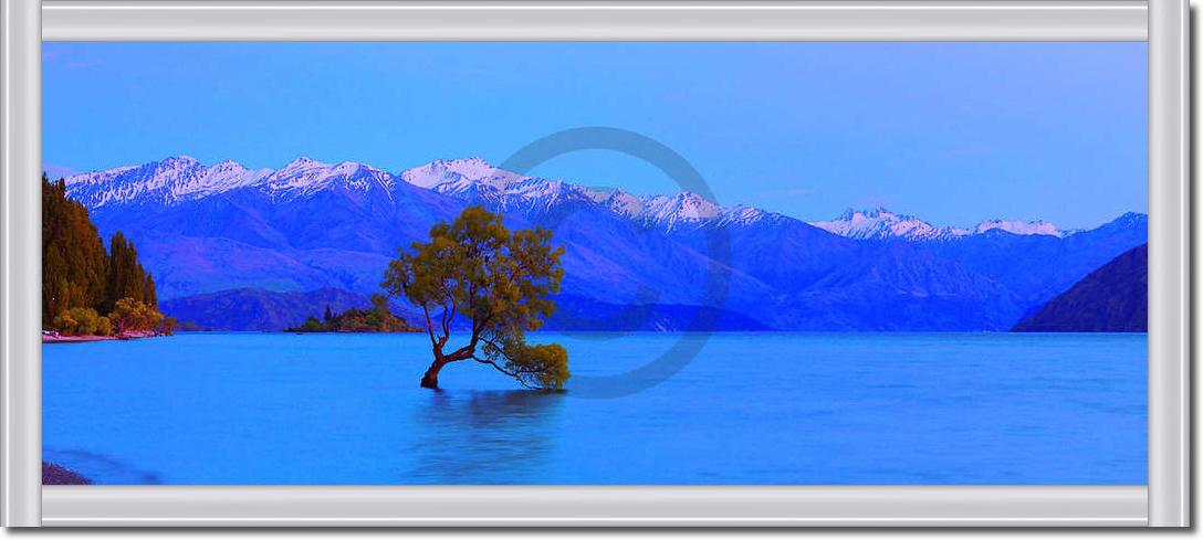 Wanaka                           von John Xiong