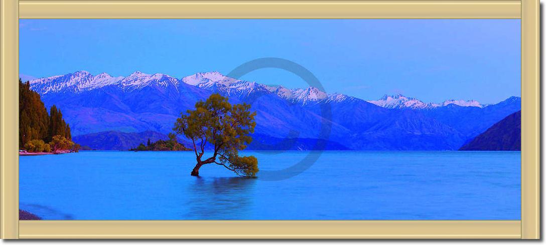 Wanaka                           von John Xiong