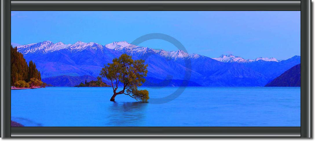 Wanaka                           von John Xiong