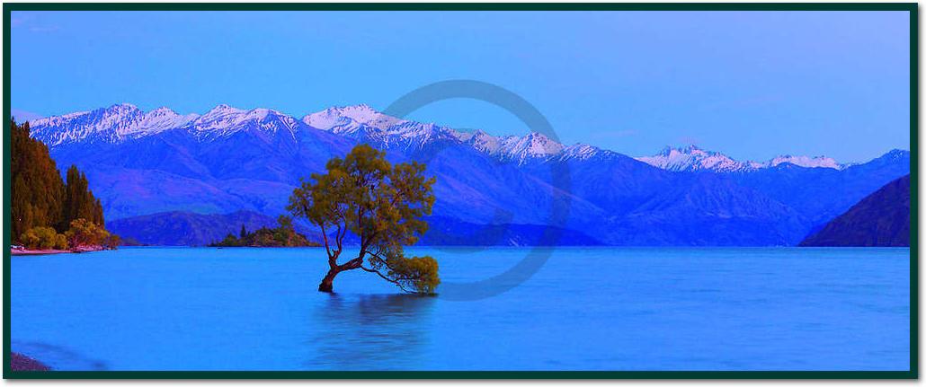 Wanaka                           von John Xiong