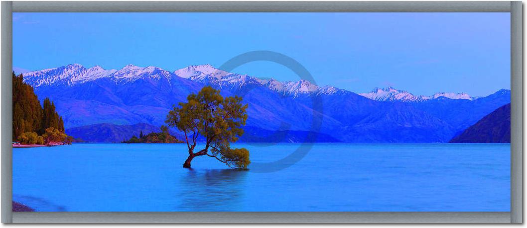 Wanaka                           von John Xiong