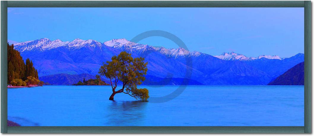 Wanaka                           von John Xiong