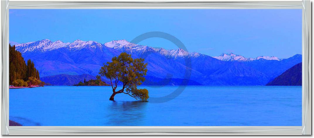 Wanaka                           von John Xiong