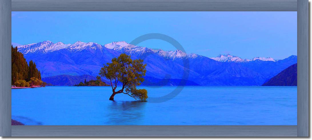 Wanaka                           von John Xiong