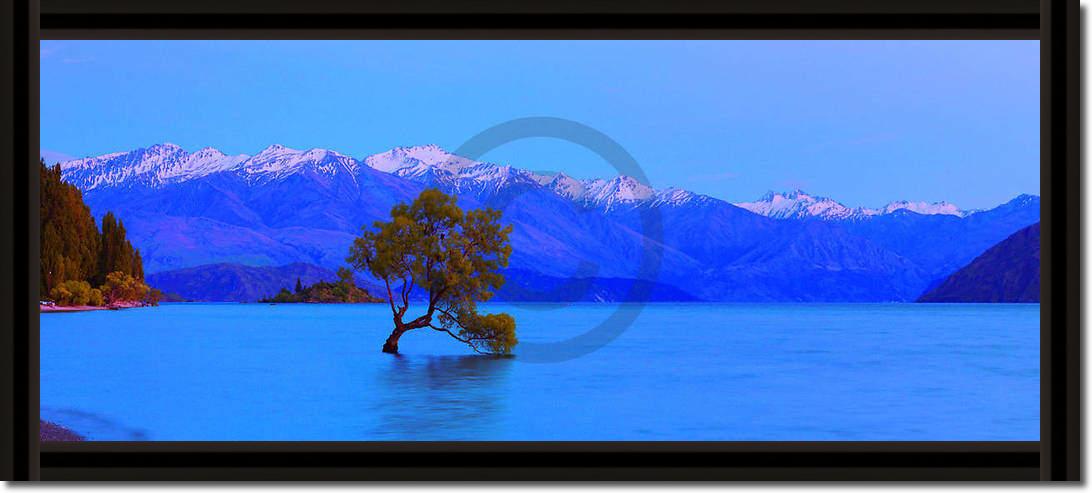 Wanaka                           von John Xiong