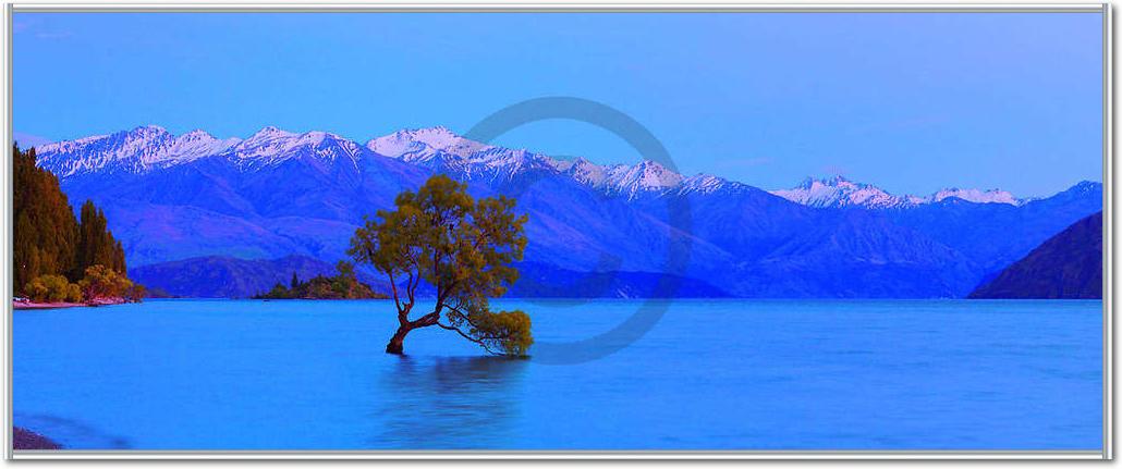 Wanaka                           von John Xiong