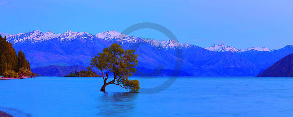 Wanaka                           von John Xiong