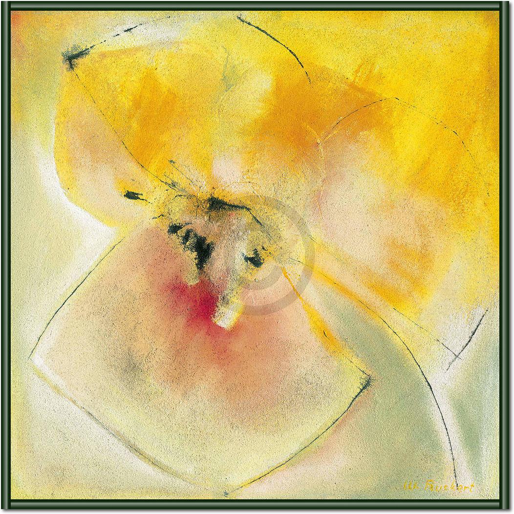 Yellow Bloom                     von Marta Peuckert