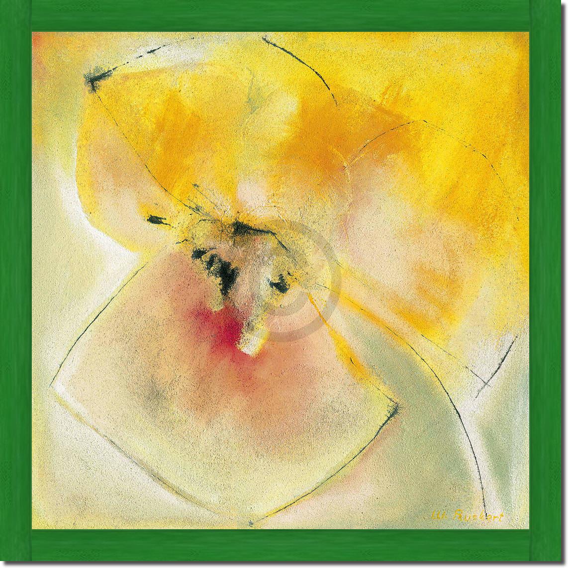 Yellow Bloom                     von Marta Peuckert