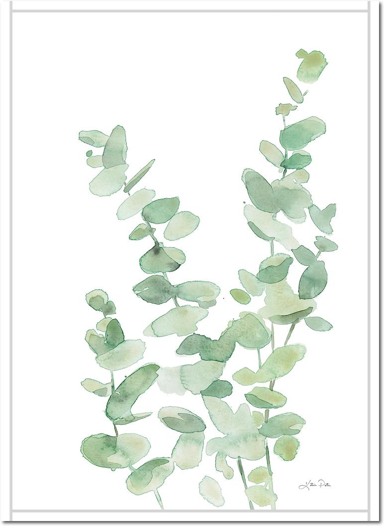 Eucalyptus II von Katrina Pete