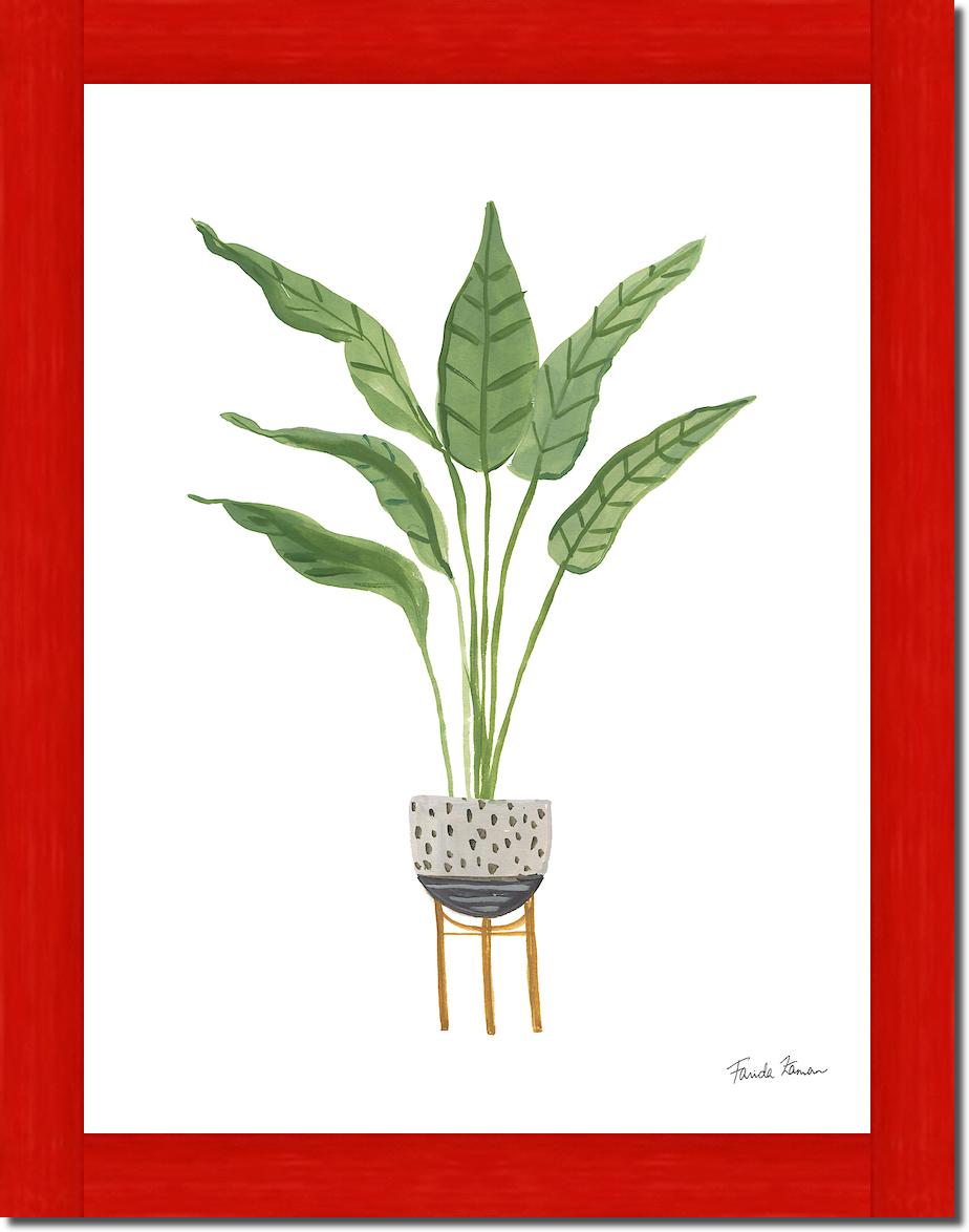 Green House Plants III von Farida Zaman